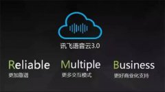 的声音——美国的互联网公司做到了这一点